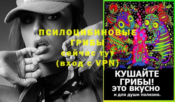 прущий лед Няндома