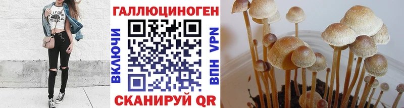 Псилоцибиновые грибы GOLDEN TEACHER blacksprut зеркало Сортавала